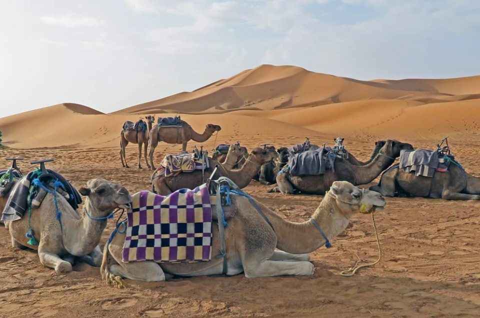 4 días por el desierto de Fez a Marrakech