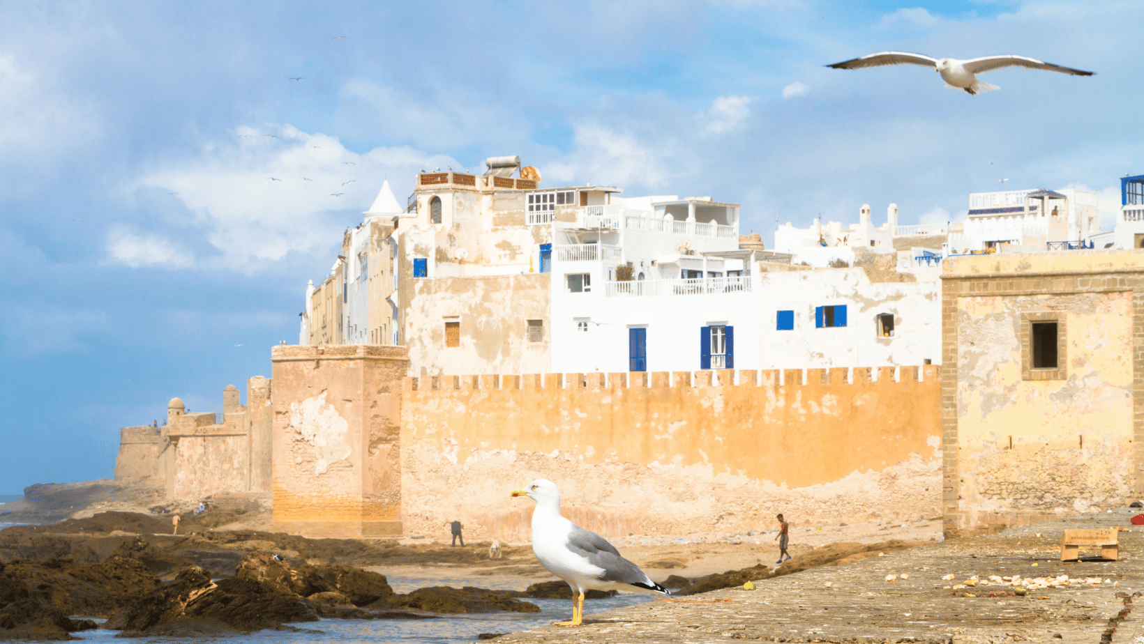 7 días en Marruecos desde Casablanca