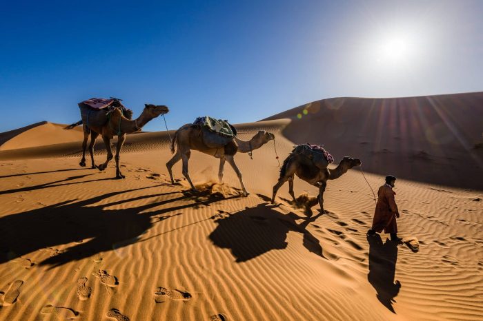 Viaje de 2 días desde Fez al desierto