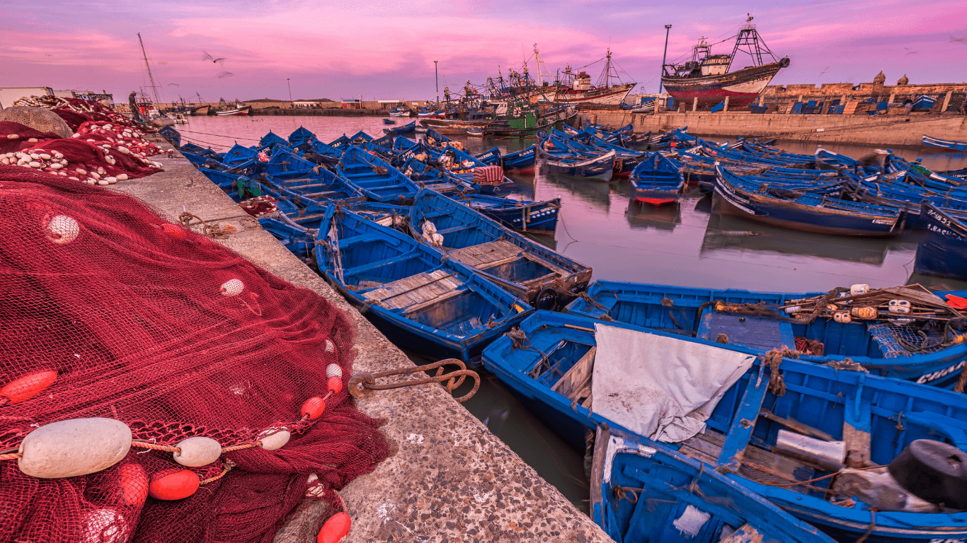 Excursión a Essaouira día desde Marrakech